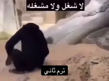 تكفون حطوني ترم اول والله م اسوي شي #جامعة 