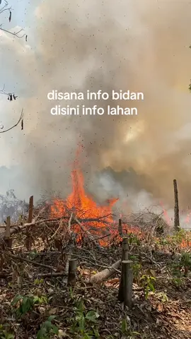 Full asap 😂 #bakarlahan #petaniindonesia🇮🇩🇮🇩🇮🇩🌿🌿 #kulisawit🌴 