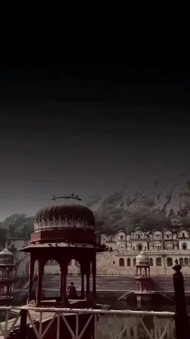 𝐋𝐢𝐧𝐞𝐬 