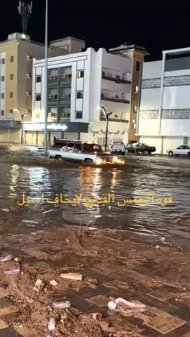 قوة الجمس القديم مع سيل 