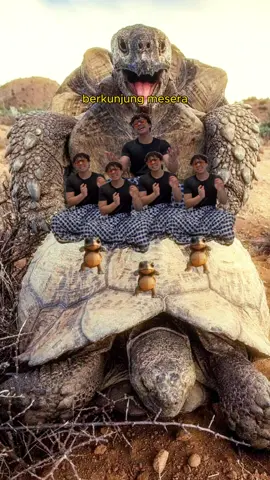 #fyppppppppppppppppppppppp 