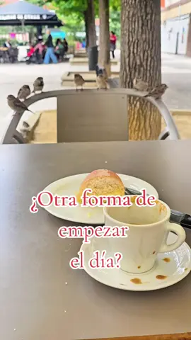 Creo que es de muy mala educación dejar la taza de esa manera. ¿Porqué los españoles meten el bollos con mantequilla a remojar en el café?