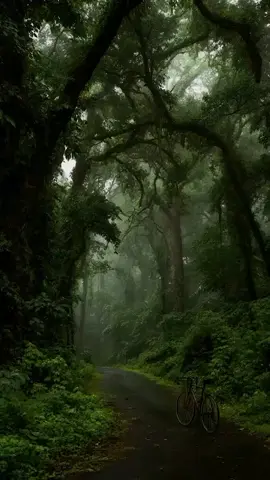 #nature #rain