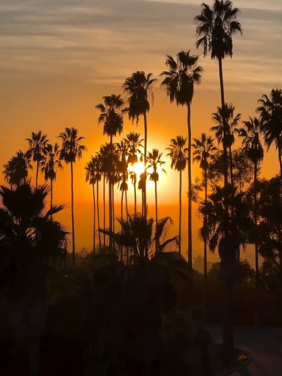 why did I move here ? #gta5 #lossantos #losangeles #california #america 