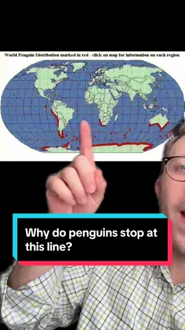 no polar bear has ever killed a penguin #interestingfacts #funfacts #EduTok #science #AnimalFacts