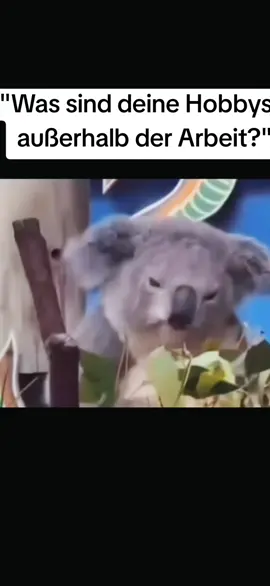 🤣🤣🤣🤣🤣 #viral #fürdich #funnyvideos #lachen #hobby 