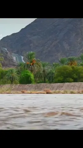 #الطبيعة_والجمال #نجران 