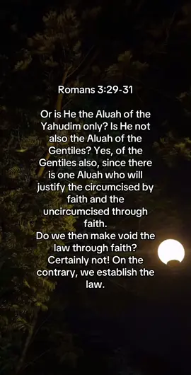 #fyp #Yahuah #Yahusha #scripture #fypシ 