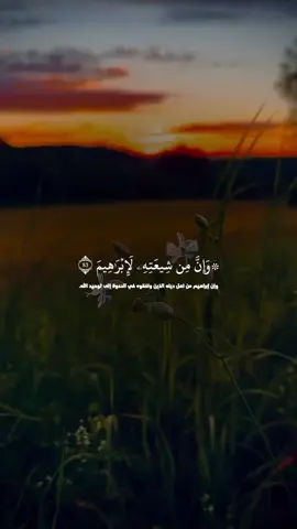 ‏تلاوة رائعة بصوت القارئ سعود الفايز  #فما_ظنكم_برب_العالمين  #سورة_الصافات  #قران  #سعود_الفايز  #fypシ゚viral  