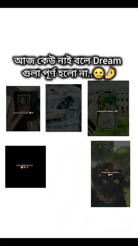 impossible dream 🥲🤌#support_me #copylink #trending #tiktok #fypシ @TikTok Bangladesh @For You 
