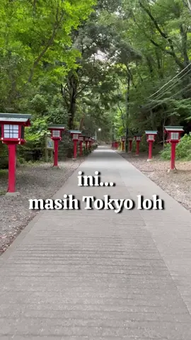 Ep. 1 mini vlog~ #travelvlog #tokyo #japan #sunset