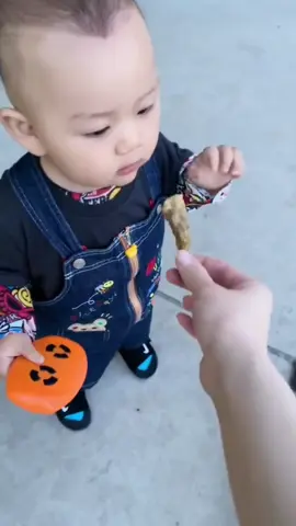 Robber dog steals baby’s food#dogsoftiktok #fun #fyp #😂😂🤣🤣 #🐕 #usa🇺🇸 