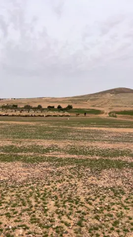 أكفاننا في الغيب صارت تنسجُ 🪡#اللهم_حسن_الخاتمة #دعوة 