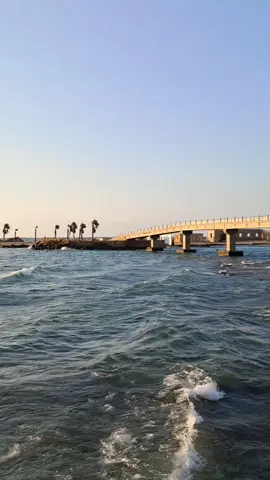 وعملت ايه فينا السنين عملت ايه فرقتنا لا غيرتنا لا ولا دوبت فينا الحنين السنين لا الزمان ولا المكان قدروا يخلو حبنا ده يبقى كان يبقى كان الزمان وبحبك والله بحبك والله والله والله بحبك قد العيون السود احبك وانت عارف منتا عارف قد ايه كتيرة وجميلة العيون السود في بلدنا يا حبيبي أحبك والله بحبك والله والله والله بحبك قد أغاني الصبر بحبك وانته عارف قلنا ايه فيها كل ليله وقال معانا الناي في سهرنا يا حبيبي أحبك والله بحبك والله والله والله بحبك قد اللي فات من عمري بحبك قد اللي جاي من عمري بحبك وشوف قد ايه شوف قد ايه بحبك اللي كان هو اللي كان قدر يغيروا في يوم الزمان لا الزمان ولا المكان قدروا يخلوا حبنا ده يبقى كان كل ليله من ليالي البعد عدت عليه وانت مش جمبي يا روحي يا نور عنيه وحبي فيها كان بيكبر من ليله واكتر والله من ليله واكتر قد كل الليالي ديا واكتر شوي بحبك وقد عمري ونور عنيه يا نور عنيه بحبك كل غنوه عالفرح كانت عالجرح كانت عالصبر كانت عالحب كانت كتبها وقلتها كانت عشانك كل دمعة دمعة دمعة عالخد سالت عالرمش نامت فعيون ما نامت من الدنيا عانت وجرح الهوى ما لش دوى إلا فحنانك قد كل كلام في الحب اتقال في الصبر اتقال بحبك ليلي وانا سهران سنين ما بنام وبقول موال بحبك قد اللي فات من عمري بحبك قد اللي جاي من عمري بحبك وشوف قد ايه بحبك🎶♥️👑 @fadelchaker  . . . #فضل_شاكر #العيون_السود #فضل_شاكر_ملك_الاحساس #فضل_شاكر_🎶🎵🎤🔚 #page_old_songs 