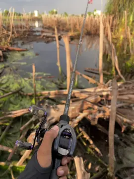 Indahnya sebangau🤩 #castingfishing🎣 