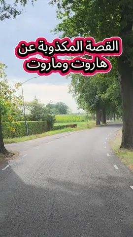 #السيرة_النبوية #بدر_المشاري #محمد_علي_الشنقيطي 