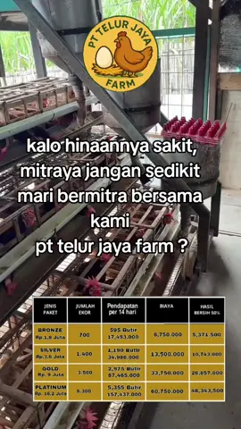 BINGUNG MAU CARI  PENGHASILAN SAMPINGAN  MARI BERMITRA  BERSAMA KAMI  PT. TELUR JAYA FARM 🐔  DI JAMIN UNTUK  BESAR  AMAN DAN AMANAH  TENTUNYA  LEGALITAS PT MOU  CUKUP TITIP MODAL 1,8JT  PROFIT PER 2 MINGGU  SUKSES BERSAMA  PT. TELUR JAYA FARM 🐔#petrnakayamindonesia #lewatberanda #peternaksukses #peternakayam #peternakmuda 