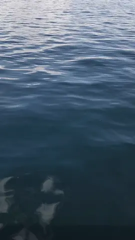 ilgisiz erkek yoktur, baska kadinla ilgilenen erkek vardır... #yara_iziii #fy #fypシ゚viral 