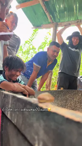 #คนรักไก่ชน #ฟีดดดシ #fyp #ธธนากรฟาร์ม❤️‍🔥 