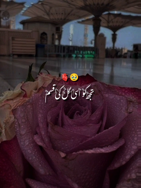 Jummah Mubarak 🥹🩷 | #12rabi_ul_awalstatus #12rabiulawalnatt2025 ##rabiulawal #inshallah💫 #foryoupageofficiall #jummahmubarakstatus🤲🕋 #rehman_writes56 #allah❤️ #12_rabi_ul_awal_status 