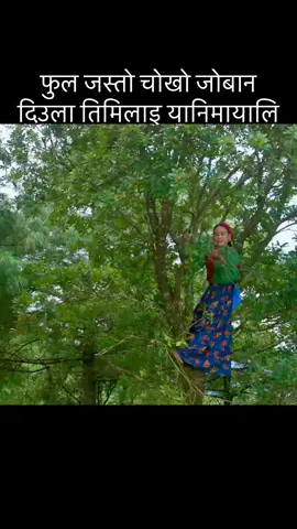 हाम्रो नया गित आयो है हजुर #amritsapkota78 #keepsupporting @SundarGhalan2 @चमेली @KamalaGhimire_Official @Shanti Shree Pariyar 