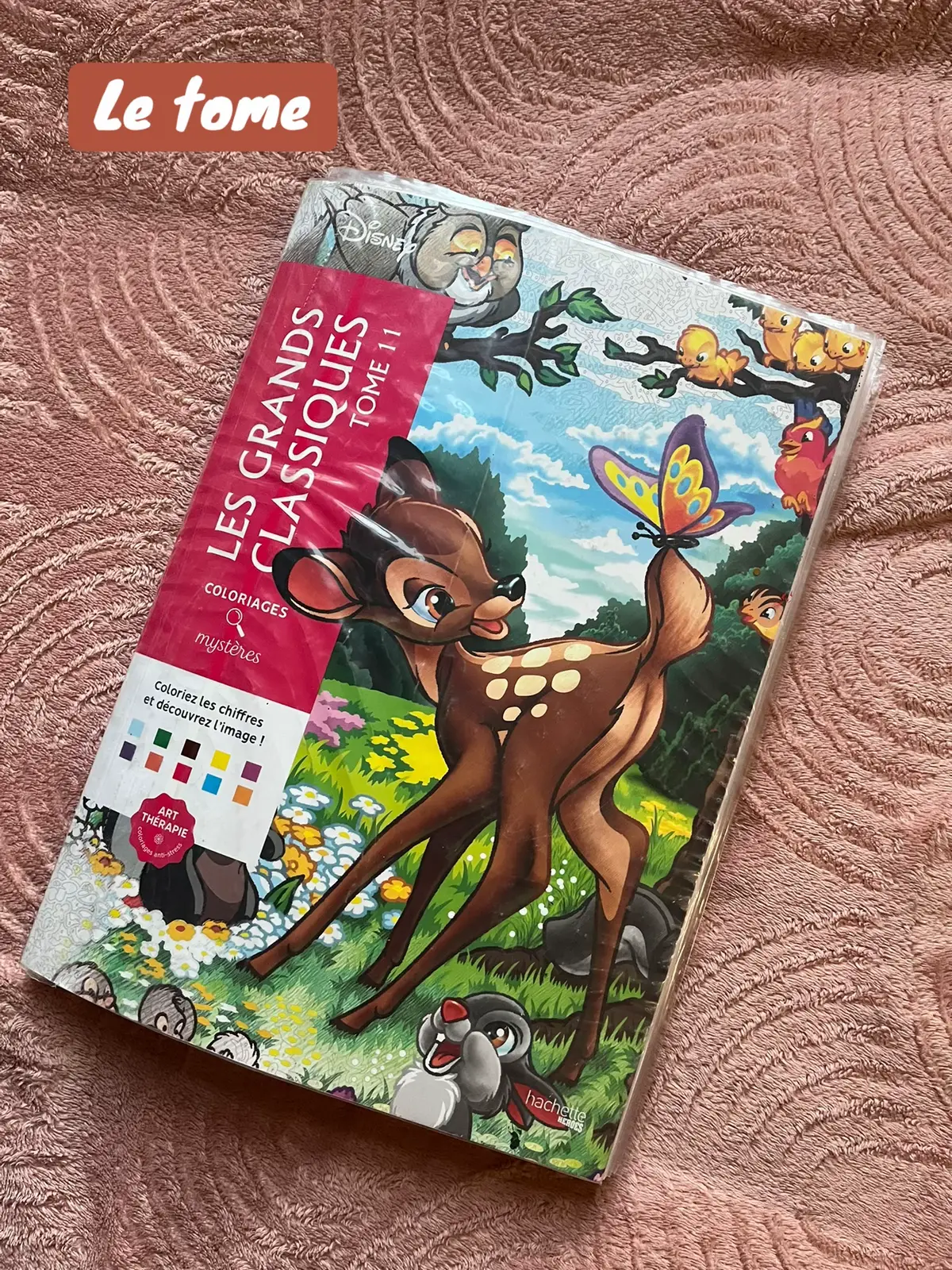 Duo avec @bells 🥰 j’adore nos colos🫢 #coloriagemysteredisney #arttherapy #tome11 #laplaneteautresor 