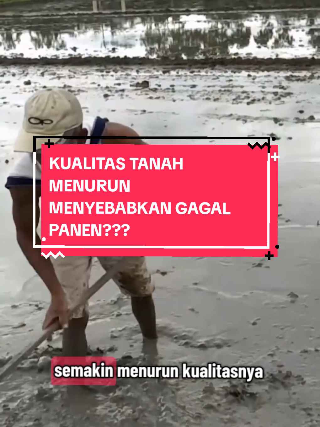 Yuk tingkatkan kesuburan media tanam menggunakan soil improvement dari hanamaru #fyp #fypシ #hanamaru #mediatanam #pupukhanamaru 