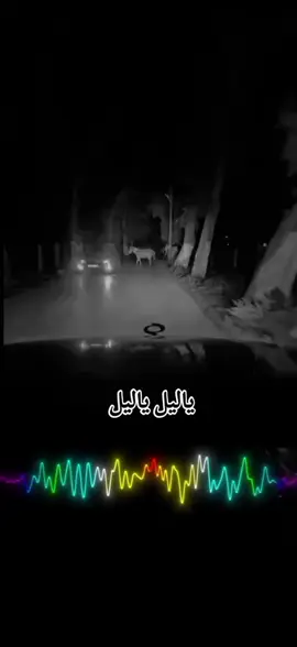 تصوير📸@Fayez AlHassi  #شحات_سوسه_راس__البيضاء_طبرق_ليبيا 