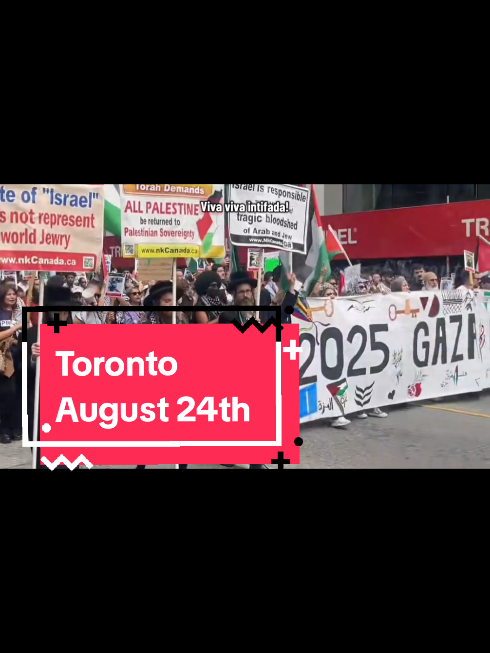 Replying to @zerohundred37 From Toronto to Palestine, week 98 VC: @colonizationisacrime75 