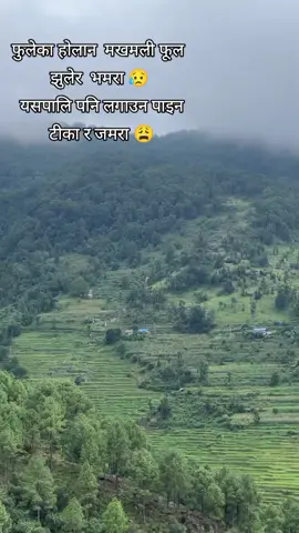 #सबैले_माया_गरेर_साथ_दिनु_होला_धन्यवाद🙏🙏 #myvilaggaryyasin🌹🌹♥️♥️♥️🏞️🏞️🌾🌾 #nepalisong #dailekhamuser🇳🇵foryoupage🥰 #brokenheart💔sad_felling😞😞 
