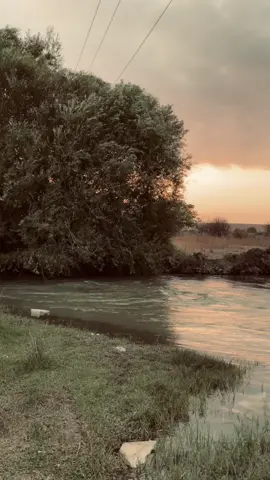 Video Məndən Söz Sizdən