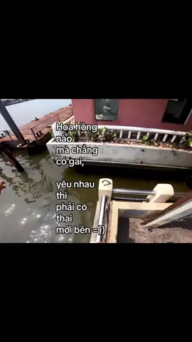 #minhhieu31th10 #fbtxuhuong #fyp #tamtrang #tinhyeu 