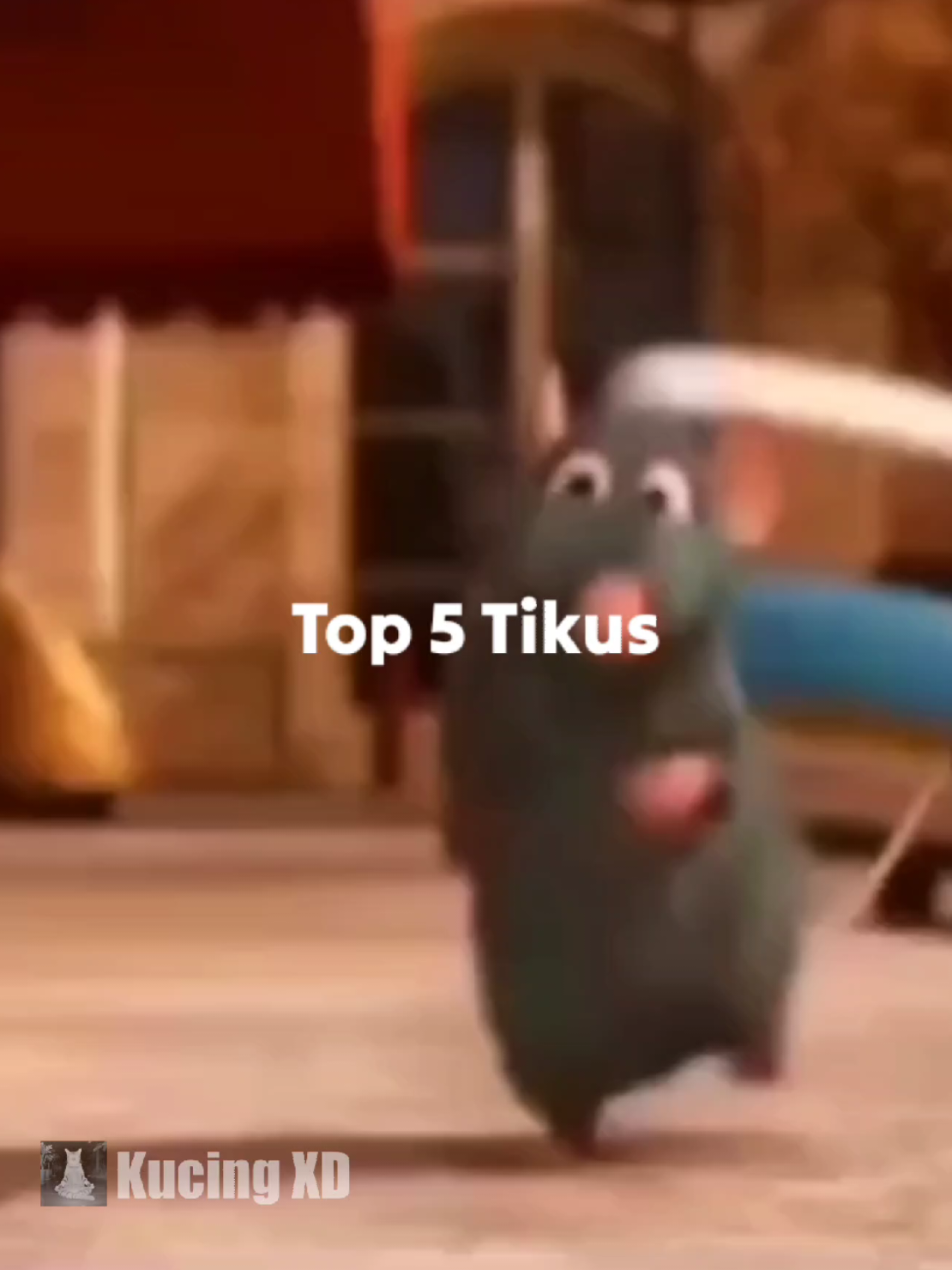 Top 5 Tikus #top5 #meme #fyp 