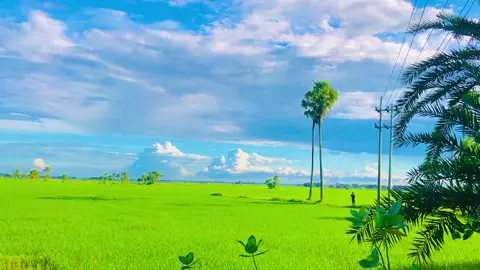 মনেরি আকাশে শুধু তোমারি শপ্ন উড়াই🥰🏞️ #vairal #foryou #fyp #foryoupage #natural 