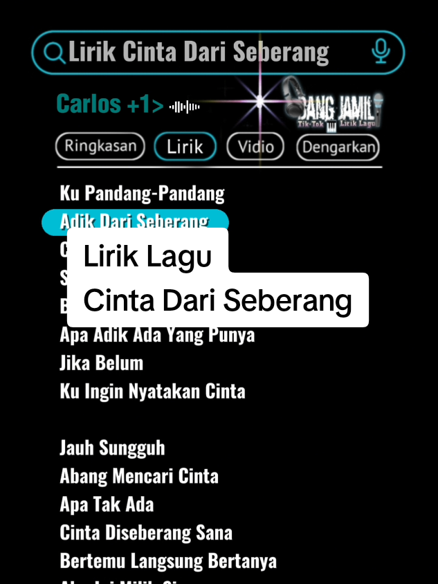 Lirik lagu🎧 []Cinta dari Seberang 🔥🔥 #cintadariseberang #fullirik🥀 #song #carlos #bangjamil12346 