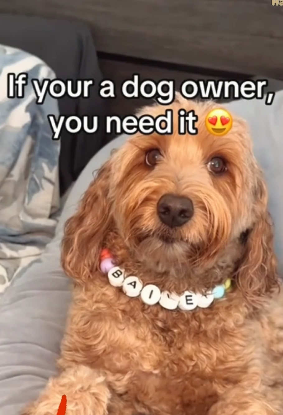 Buy yourself and your dog#dogmom #dogmomlife #dogcollar #personalizeddogcollar#pet