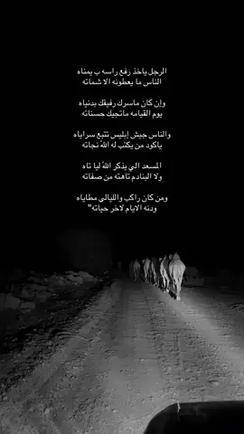 #foryoupage❤️❤️ #اكسبلورexplore #الابل_عطايا_الله_عشاق_البداوة_🐪😍 #viralvideo #foryoupage 
