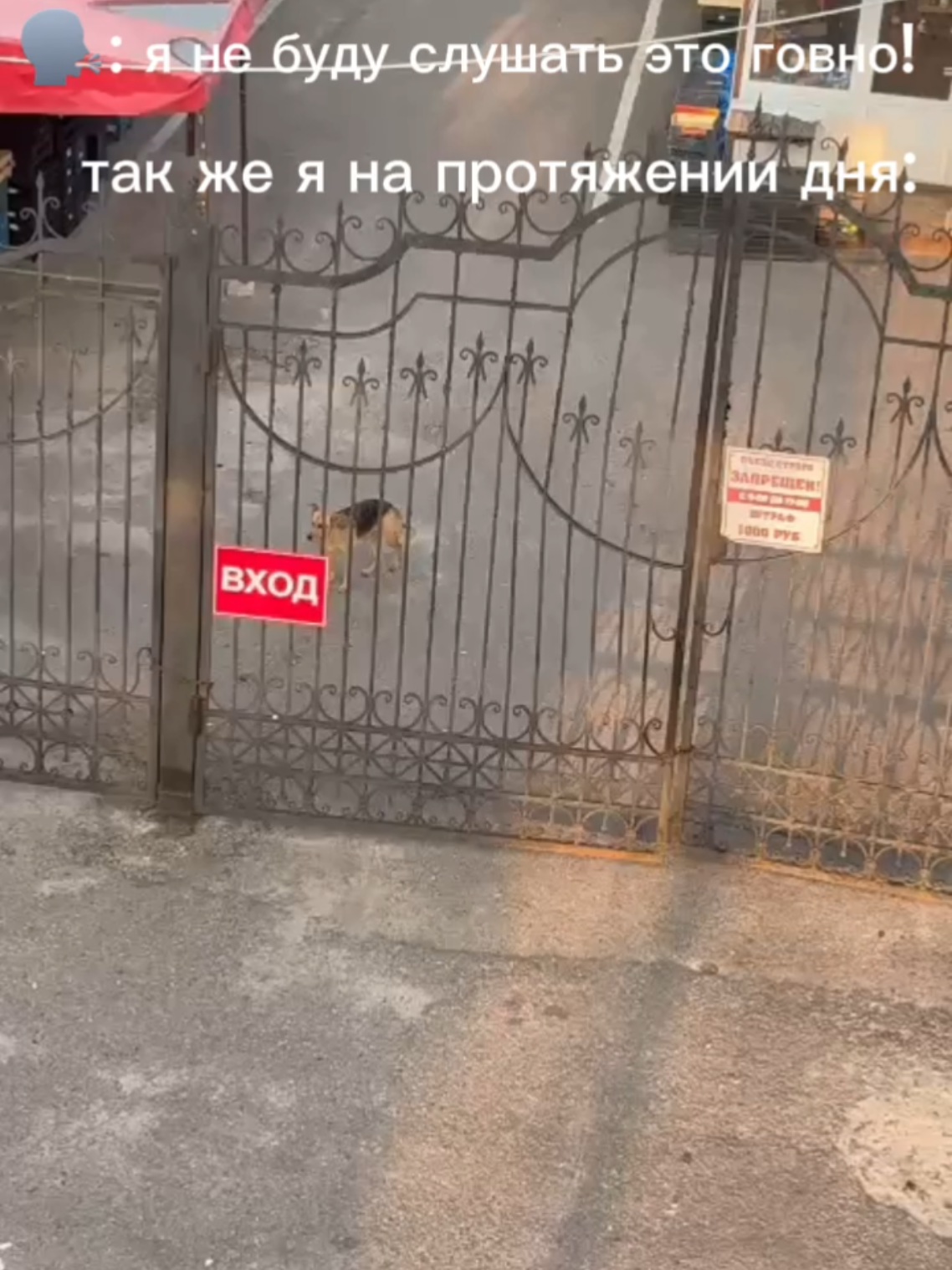 ну а что пхахпхах #fyp #роблокс #мемы #угар #рек #fyyyyyyyyyppppppppp 