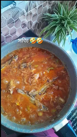 সত্যি 🤣🤣 #foryoupage❤️ o #follower#like  #hilight #shera 