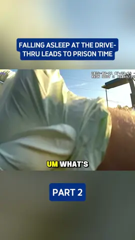 Forcing Your Way Onto a Plane Never Ends Well #cops #bodycamcops 