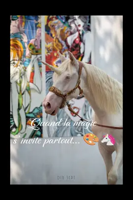 ✨ Offrez à vos événements une touche de féerie unique ✨ Mariages, fêtes, festivals, anniversaires… Notre licorne enchantera petits et grands 🦄🌸 📸 Immortalisez ces instants magiques. 💌 Contactez-moi pour vos réservations. monpetsitter-LPC.com Insta @les_pattes_dans_le_cocon #evenementiel #licornevivante #animationenfant #locationlicorne #fetemagique     