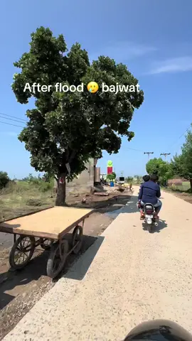 Bajwat #flood #viralvideo #dontunderreviewmyvideo 
