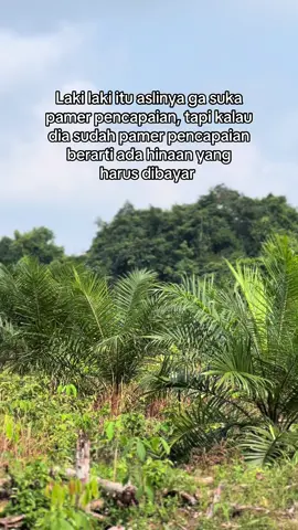 #sukses #suksesmuda #sawitriau #sawitontiktok #fyp 