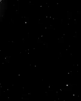 #صاصا_المجال🕊️🖤
