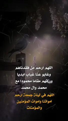 #CapCut اللهم اغفر لأبي وأرحمه وأكرم نزله ووسع مدخله واجعل قبره روضة من رياض الجنة وأجمعنا به  بجنات النعيم 💔رحم الله امواتنا وامواتكم أجمعين يارب العالمين 