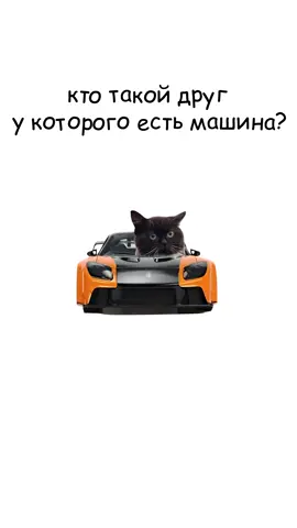Кто такой друг у которого появилась машина? Кисы пояснят 