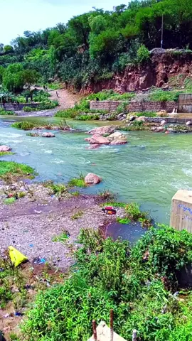 #الطبيعة_والجمال 