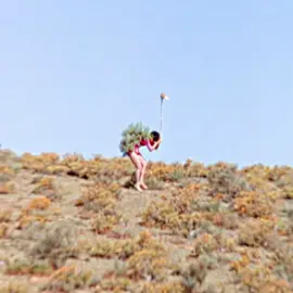 The Gods Must Be Crazy II (1989) _ This man is engaged in a psychological battle with an ostrich 🦢🧠 #movie #edit #film #shorts #fyp 