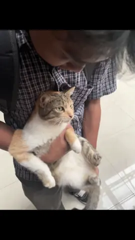 gajah baru 