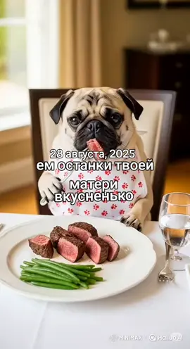 да #крутоймопс #fypシ #мопс #pug 